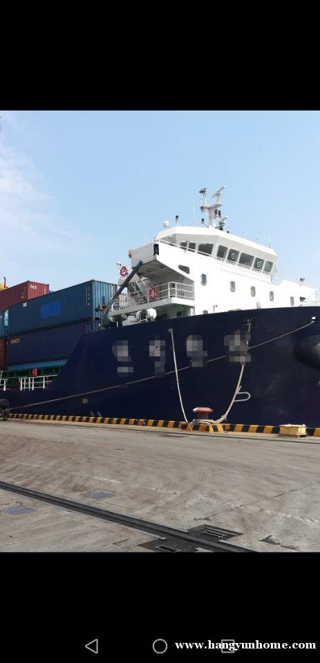 出售2019年底造10290吨沿海集装箱船